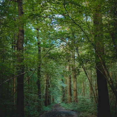 Belgium - Pajottenland