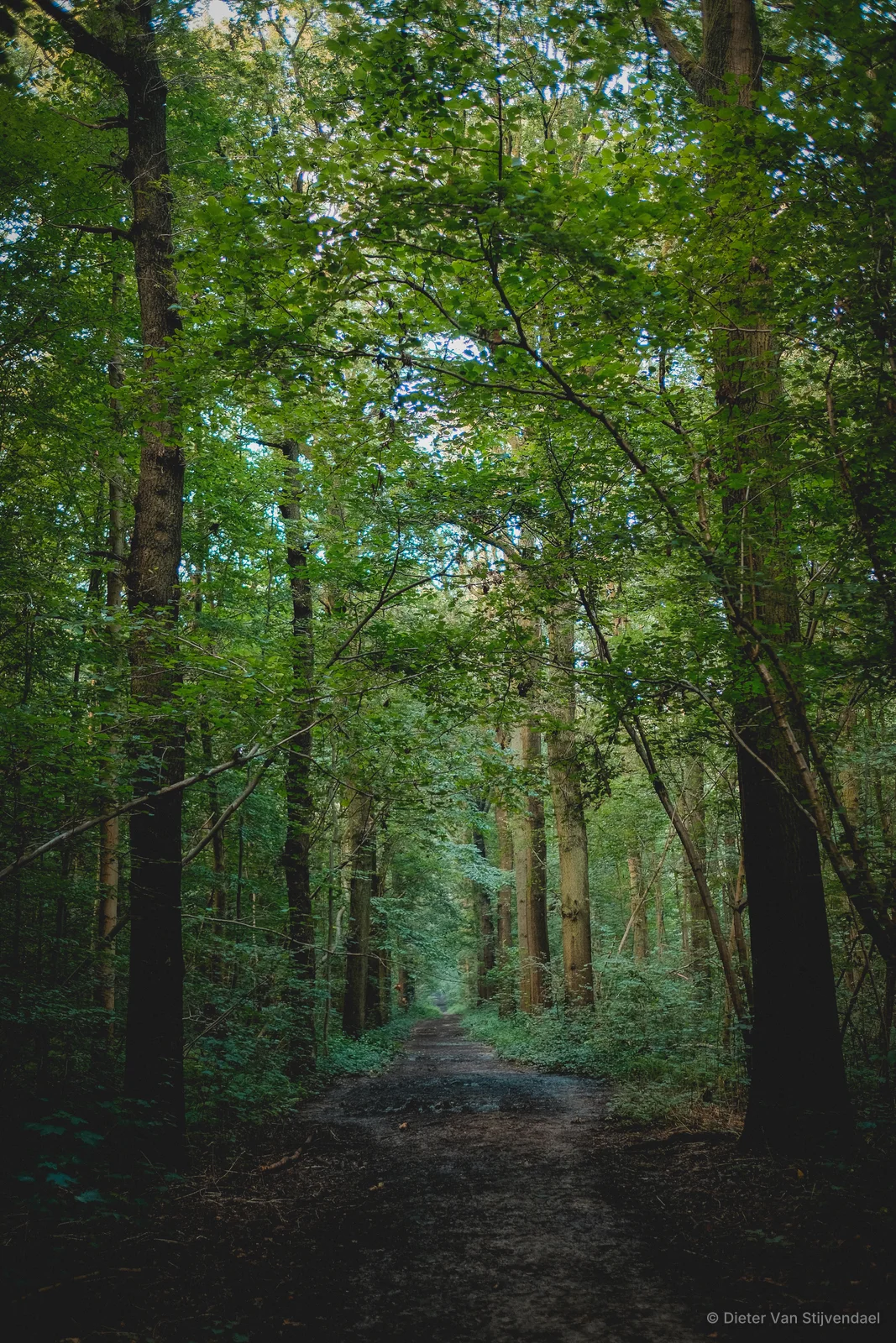 Belgium - Pajottenland