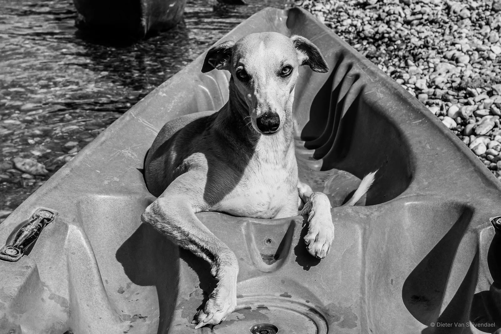 France - Provence